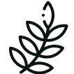 Greenify improving icon 1